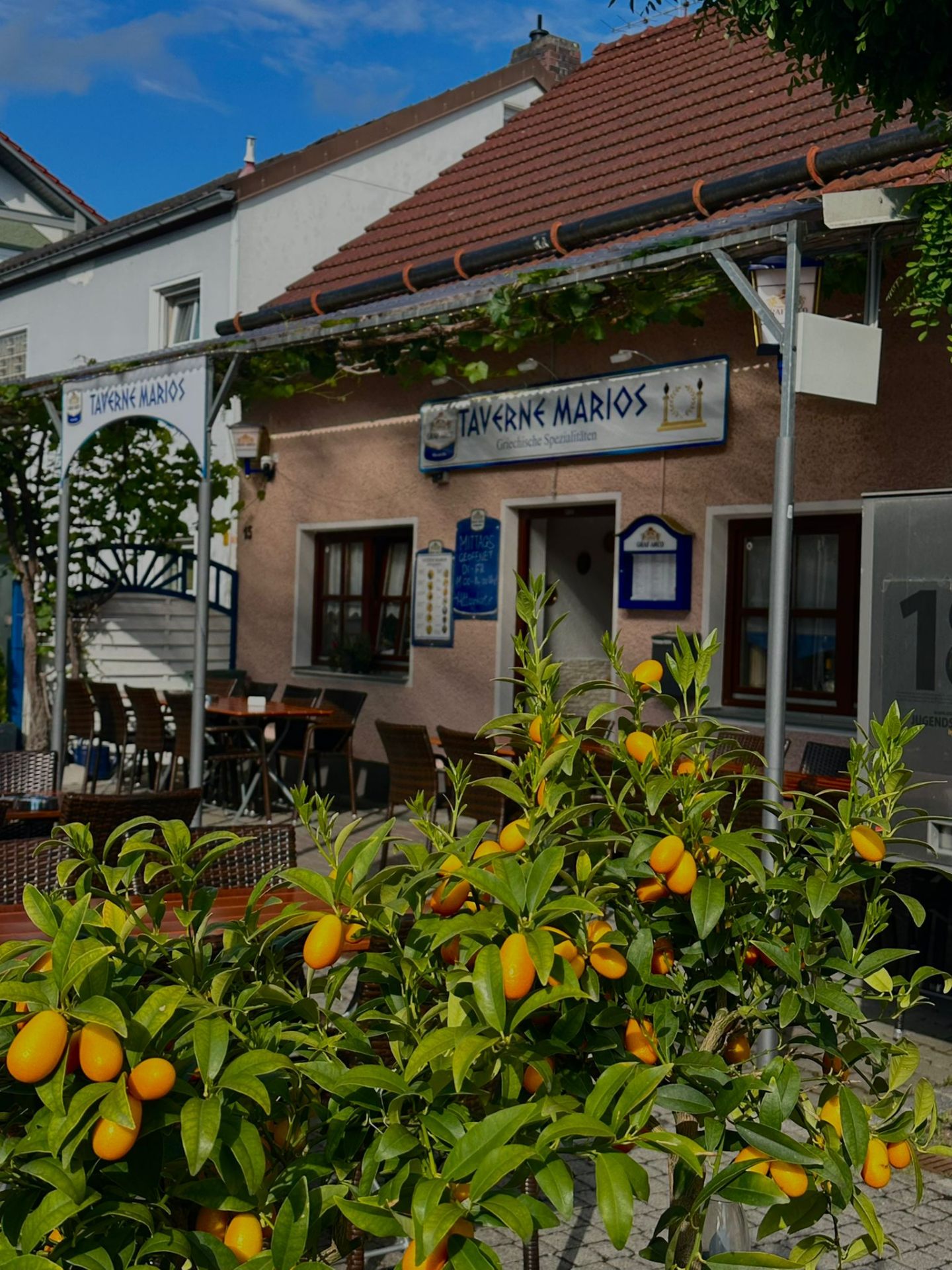 Außenansicht mit Terrasse und Clementinenbaum